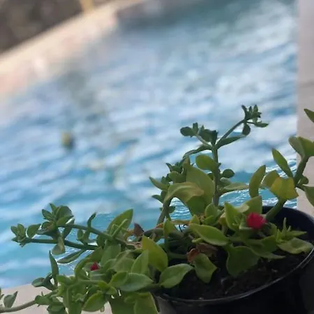 Maison Provencale Avec Piscine * רוקמור