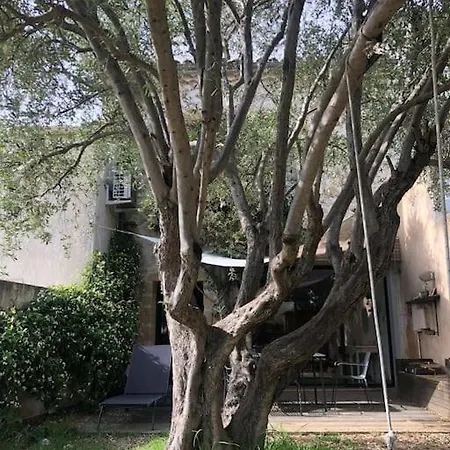 Maison Provencale Avec Piscine *