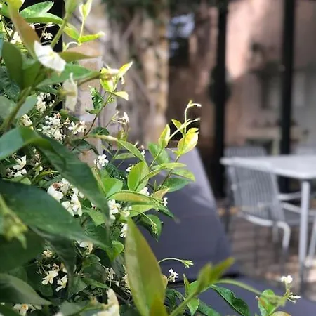 Maison Provencale Avec Piscine רוקמור